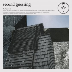 Second Guessing ‎– Tijd Verdringt LP